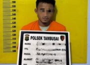 Polsek Tambusai Tangkap Pelaku Pencurian Sawit, 72 Tandan Diamankan