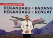 Gubri Wahid Resmikan Penerbangan Perdana Wings Air Rute Pekanbaru-Rengat, Waktu Tempuh Cuma 30 Menit