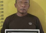 Usai Cabuli Anak Di Bawah Umur, Pria Inisial M Ini Serahkan Diri ke Polsek Seberida