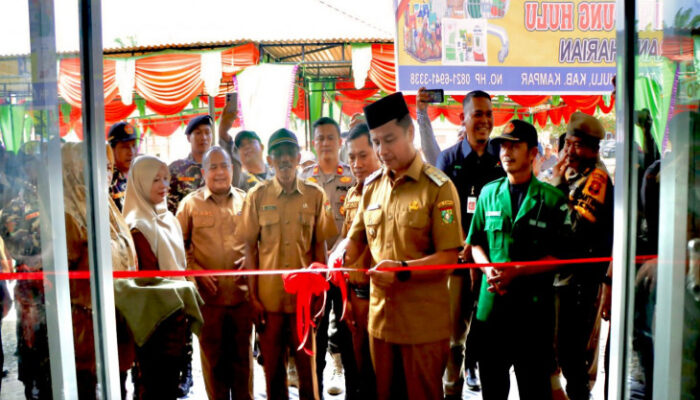 Pulang Kampung ke Tapung Hulu, Bupati Ahmad Yuzar Panen Jagung dan Resmikan BUMDes Smart Serasi