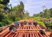 Demi Tugas Bermalam Dalam Hutan, Tim Gabungan Polres Inhu Sita Ratusan Kubik Kayu Olahan Illegal Logging