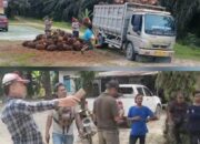 Management PT TRM KSO PT APN Bantah Keras Peryataan Kelompok Hendri Marbun