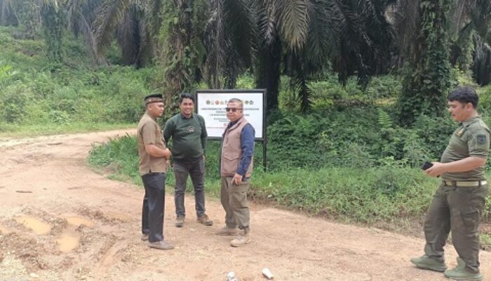 KSO PT Pancawaskita Bumi Riau Mandiri Resmi Kelola Kebun Sawit Sitaan Negara Eks PT Selantai Agro Lestari