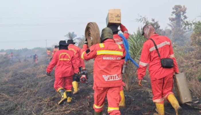 Pelalawan Tetapkan Siaga Darurat Karhutla, Pemprov Riau Segera Naikkan Status Provinsi