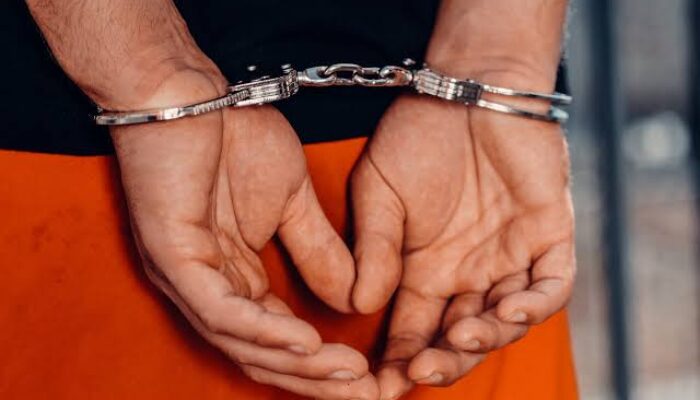 Polisi Ringkus Tersangka Pembakar Lahan di Teluk Meranti
