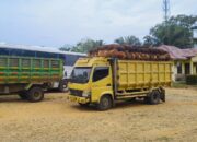 Mobil Angkutan Jarahan TBS Kebun Sawit PT APN Diamankan Polres Inhu