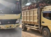Diduga Maling TBS di Kebun Sawit PT Agrinas Palma Nusantara, Batin Gunduk Cs Dilaporkan ke Polres Inhu