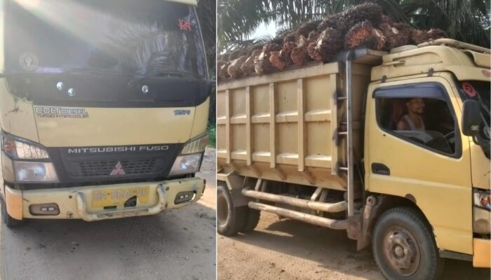 Diduga Maling TBS di Kebun Sawit PT Agrinas Palma Nusantara, Batin Gunduk Cs Dilaporkan ke Polres Inhu