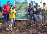 Dukung Program Asta Cita Presiden Prabowo, Masyarakat Adat Talang Jerinjing Tanam Jagung Manis