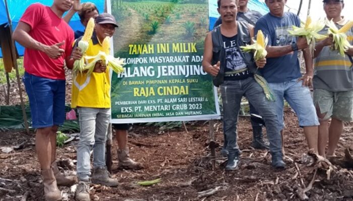 Dukung Program Asta Cita Presiden Prabowo, Masyarakat Adat Talang Jerinjing Tanam Jagung Manis
