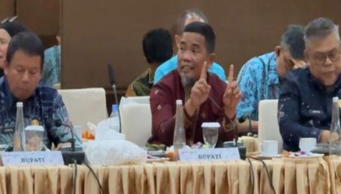 Kunjungan DPR RI ke Riau, Bupati Pelalawan Soroti Optimalisasi BUMD