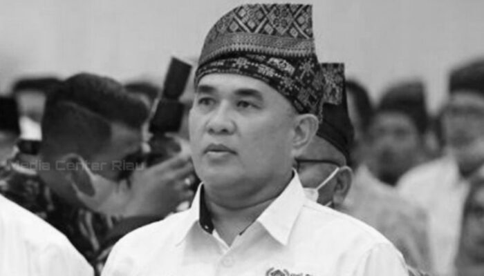Dunia Pers Berduka: Sekjen PWI Pusat Zulmansyah Sekedang Tutup Usia