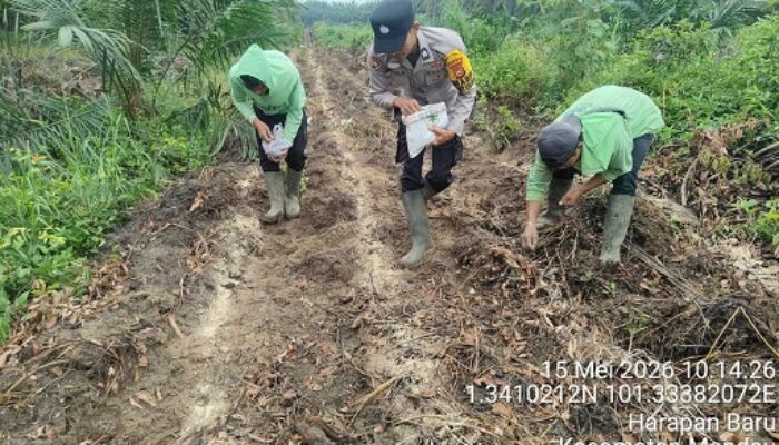 Polsek Mandau Gandeng BUMDes dan Warga Sukseskan Program Swasembada Pangan Nasional