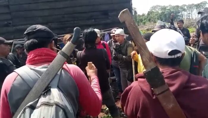 Ribuan Sawit Petani Sungai Raya Dicabut Paksa, Konflik Lahan Memanas dan Bentrok Mengancam