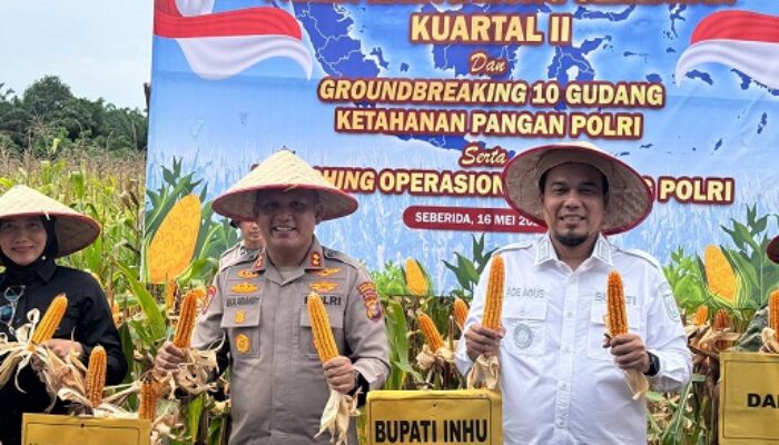 Panen Raya Jagung Kuartal II Bersama Presiden Prabowo, Kapolres dan Bupati Inhu Komit Jaga Ketahanan Pangan