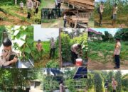 Sasar 5 Desa dan 1 Kelurahan, Polsek Rengat Barat Kawal Ketat Ketahanan Pangan Mandiri