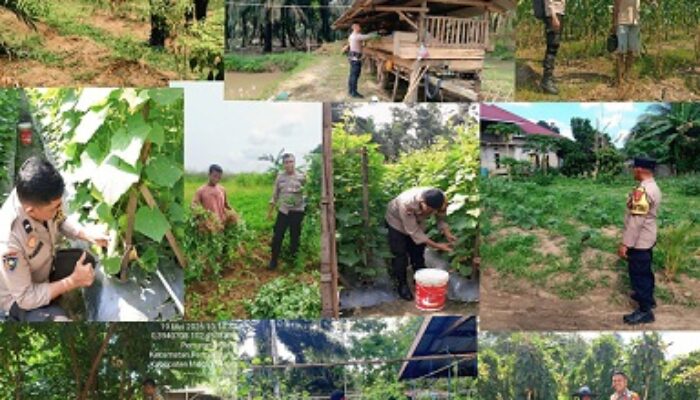 Sasar 5 Desa dan 1 Kelurahan, Polsek Rengat Barat Kawal Ketat Ketahanan Pangan Mandiri