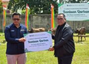 Sambut Iduladha, PT Agrinas Palma Nusantara Salurkan Belasan Sapi Kurban ke Inhu