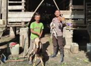 Polsek Kelayang Dorong Swasembada Pangan Melalui Peternakan Kambing