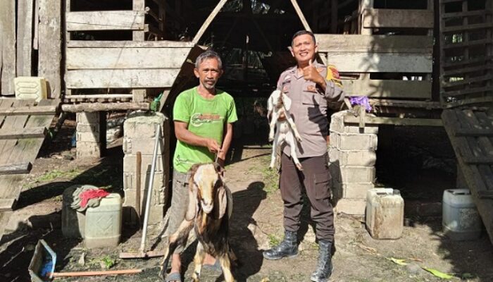 Polsek Kelayang Dorong Swasembada Pangan Melalui Peternakan Kambing