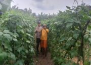 Anggota Bhabinkamtibmas Polsek Kelayang Sambangi Petani Kacang Panjang di Desa Teluk Sejuah