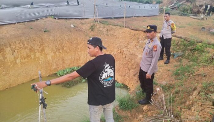 Dukung Ketahanan Pangan, Kapolsek Batang Cenaku Iptu Hendra Sebayang Sambangi Peternak Ikan Nila