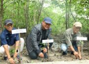 Wabup Siak Bersama Pokmas di Sungai Apit Peringati Hari Lingkungan Hidup Sedunia Dengan Menanam Pohon di Pesisir Pantai