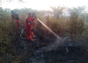 Lahan Gambut Satu Hektare Terbakar di Air Hitam Pekanbaru, Tim Buru Kepala Api