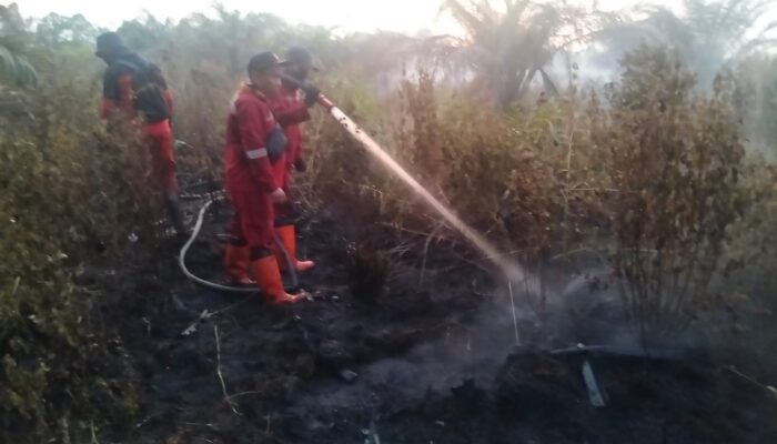 Lahan Gambut Satu Hektare Terbakar di Air Hitam Pekanbaru, Tim Buru Kepala Api