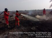 Tiga Hari Dikepung Api, Karhutla 7,5 Hektare di Rokan Hilir Berhasil Dipadamkan