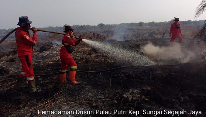 Tiga Hari Dikepung Api, Karhutla 7,5 Hektare di Rokan Hilir Berhasil Dipadamkan
