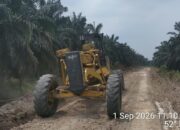 Intensifkan Perawatan Jalan Kebun, PT PAS Mitra KSO Agrinas Dukung Kelancaran Produksi TBS