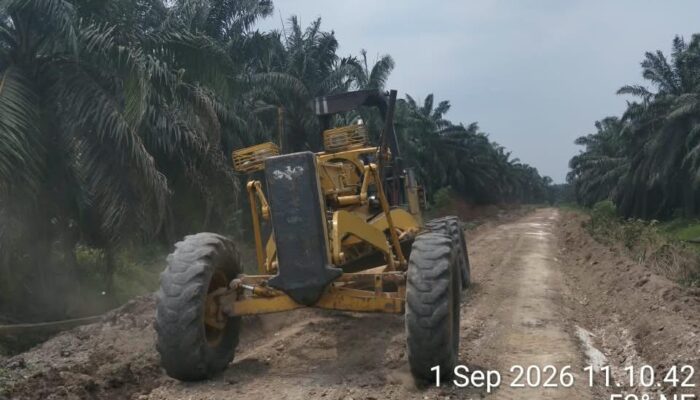 Intensifkan Perawatan Jalan Kebun, PT PAS Mitra KSO Agrinas Dukung Kelancaran Produksi TBS