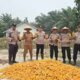 Polsek Kuala Cenaku Panen Raya Jagung Pipil Serentak Kuartal II 2026 Di Desa Tanjung Sari