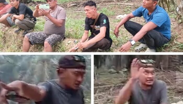 Aliansi Masyarakat Adat Inhu Minta Satgas PKH dan Kejagung Usut Dugaan TPPU PT SAL